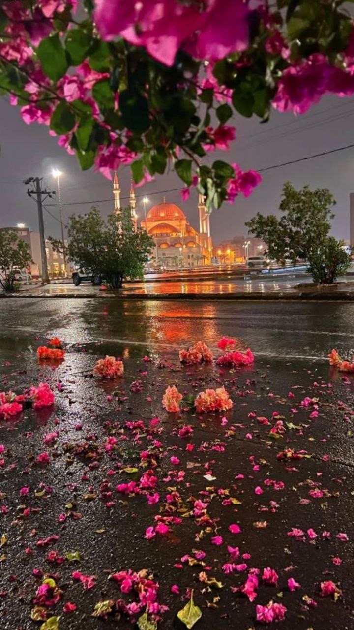 خلفية رقم 292
