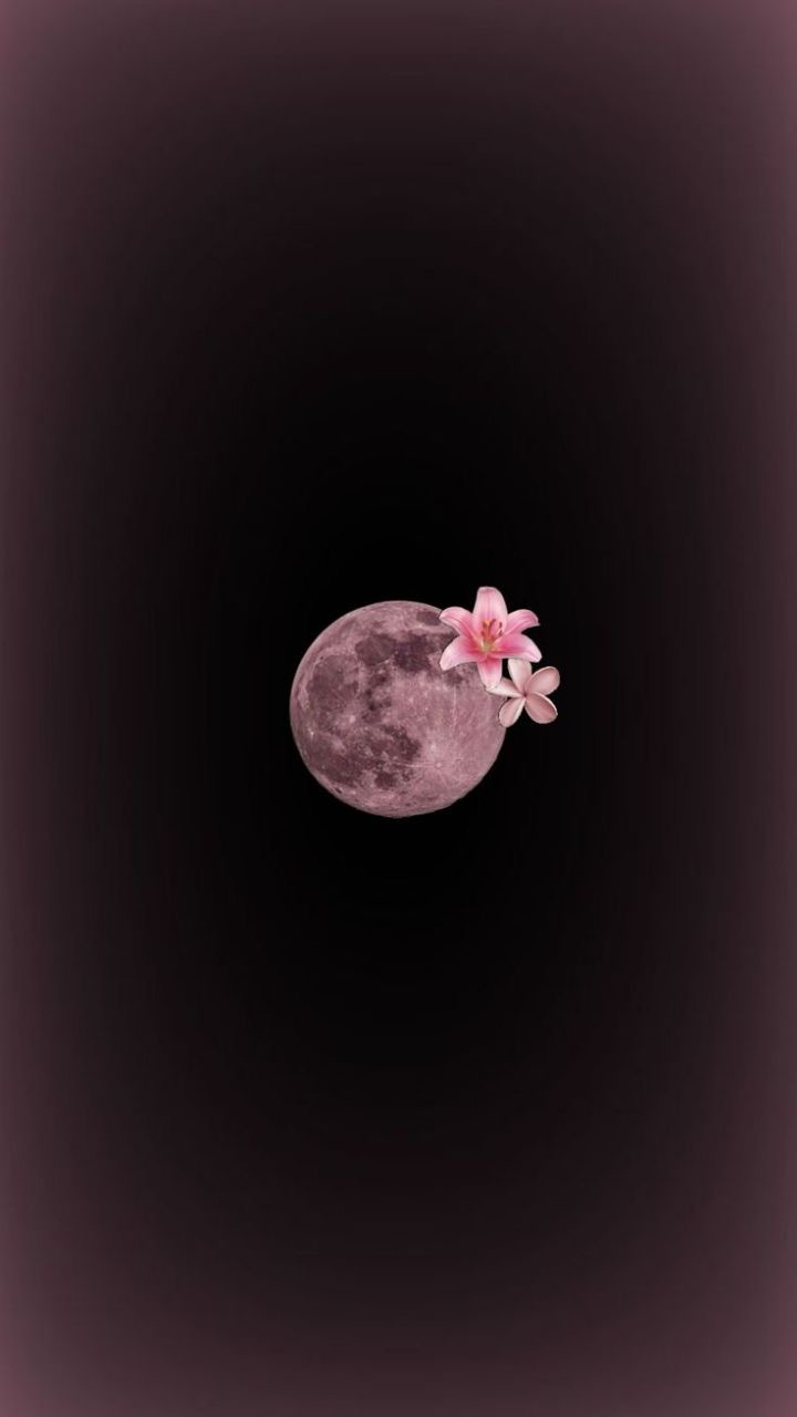 خلفية رقم 304